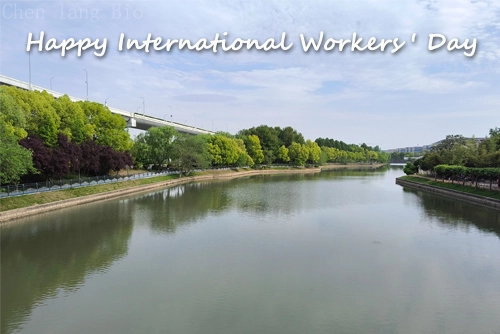 Happy International Workers ' Day